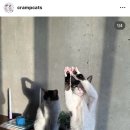 (주)리몬 이미지