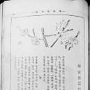조광 1941년(3) - 경산화백 홍우백 삽화 이미지