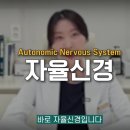 법인두머리 | 자율신경계치료, 집에서도 가능한 귀 미주신경 마사지법 총정리