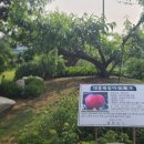 홍천식물원