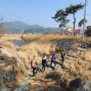 지리산큰나무 | [걷기] 지리산둘레길 1구간