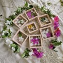 나산초등학교 이미지