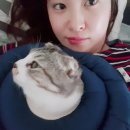 만두네살롱 이미지