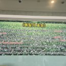 황금 메밀꽃 막국수
