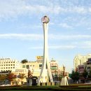 다둥이카서비스 이미지