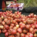 형재농장 이미지