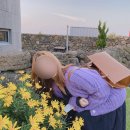 어울다 | 제주 에어비앤비 독채 숙소 협재 &lt;어울다&gt; 2박 후기