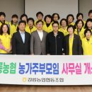 강릉농업협동조합 이미지