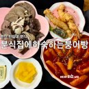 분식집에하숙하는붕어빵 | 춘천 한림대 맛집 오징어튀김 추천 분식집에 하숙하는 붕어빵