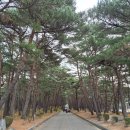 죽정습지 | DMZ평화의 길 33코스 화진포~송지호까지