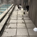 마곡 사우나 이미지