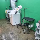 울산애견미용 러빙도기 이미지