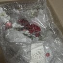 대창초교 | [경남 김해/진영] 가정의 달 어버이날 카네이션 &#39;리호플레르&#39; 내돈내산 후기