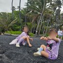 주식회사 우림 | 하와이 빅아일랜드 여행 투어 예약 전 꼭 알아야 할 것! (일정, 날씨, 옷차림, 후기)