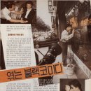대한스크린 Daum카페