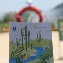 대숲여행 | 울산여행 태화강국가정원 십리대숲 관람차 탑승후기