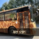 오월드2 | 대전 오월드 후기 2탄｜아이랑 사파리 투어·동물원 솔직 리뷰(꿀팁 포함)