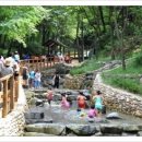 박유미- 인천 나비공원/장수산계곡물놀이장 이미지