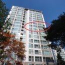 지혜온누리약국 이미지