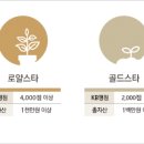 스타클럽 이미지