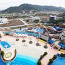 삽교읍033 Daum카페