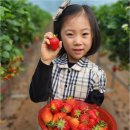 민들레재능어린이집 | 우리 아이의 미래를 밝게 만드는 진주유아교육 비결, 민들레재능어린이집