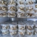 경희대한얼태권도 이미지