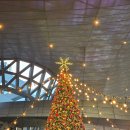 영화마을 | 부산 센텀시티 놀거리 팝업 크리스마스 트리 영화의 전당 산타마을 후기