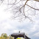 캠핑하우스 | 캠핑 텐트 추천 1~2인용 캐빈 쉘터 카즈미 와일드 필드 오스카 코트 하우스 자라섬 미니멀 캠핑 후기