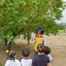 백석유치원 이미지