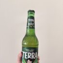 더테라(tHE Terra) | 테라 THE REAL 캠페인 1차 미션 활동｜오늘 테라 쏠 사람 누구?🍻