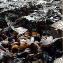 광산-비아-광산-59 이미지