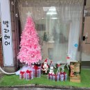 키친달팽이 이미지