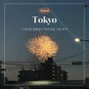 (주)스미다 | 스미다강 불꽃놀이 축제 명당 스팟 후기