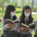 대전도안중학교 이미지