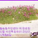 월송동주민센터 이미지