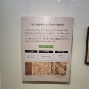 허준박물관 개관 20주년 기념 <조선의 의사들, 인仁을 실천하다> 특별전 이미지