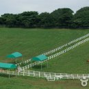 낙원목장 이미지