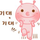 포항물회 일번지 이미지