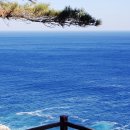 영기목장 이미지