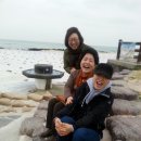 민들레여행 이미지