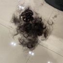 쌤시크(만촌아크로타워점) 이미지