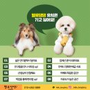 헬로댕댕 이미지