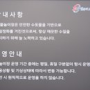 칠곡보 야외물놀이장 이미지
