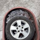 하단동185 이미지