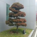 주식회사바른조경