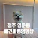 멍멍샵 이미지