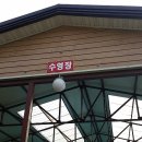 들꽃이 있는 바다 이미지