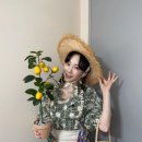 태연농장 이미지