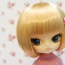 아롱이다롱이 이미지